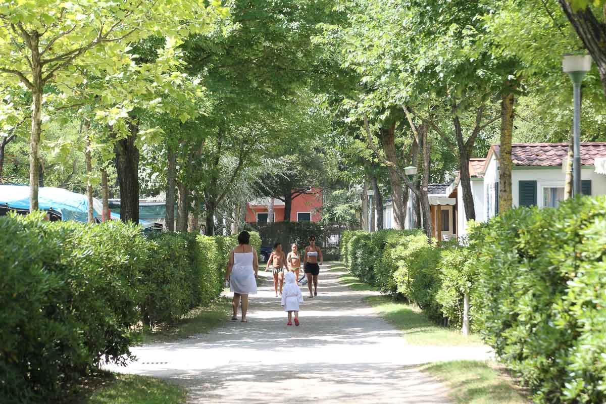 Camping Litorale Cavallino0