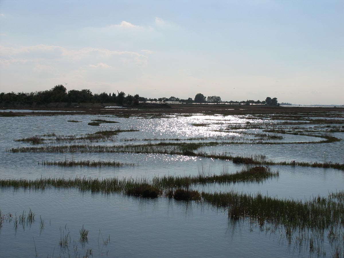 Camping Litorale Cavallino0