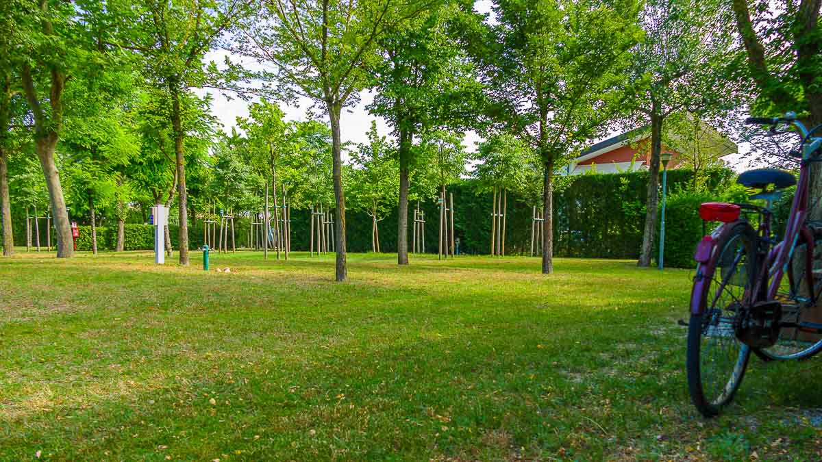 Camping Litorale Cavallino3