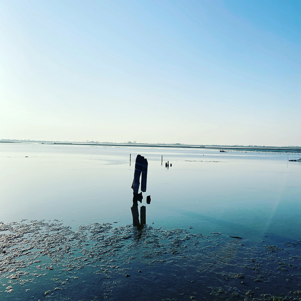 Camping Litorale Cavallino5